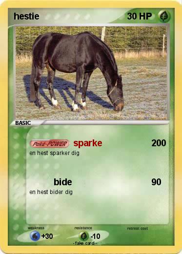 Pokemon hestie