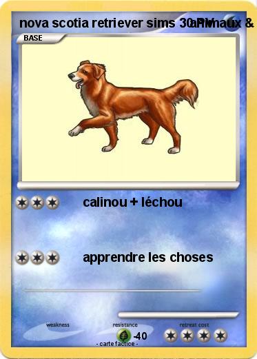Pokemon nova scotia retriever sims 3 animaux & cie 3DS