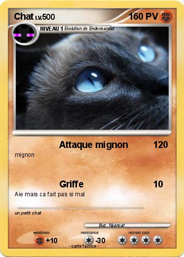 Pokemon Chat