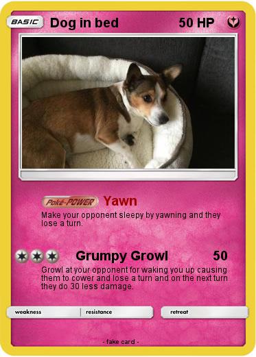 Pokemon Dog in bed