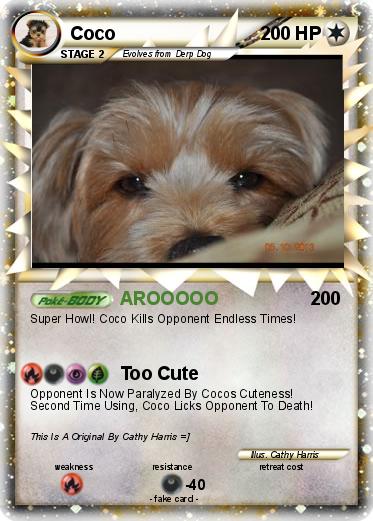 Pokemon Coco