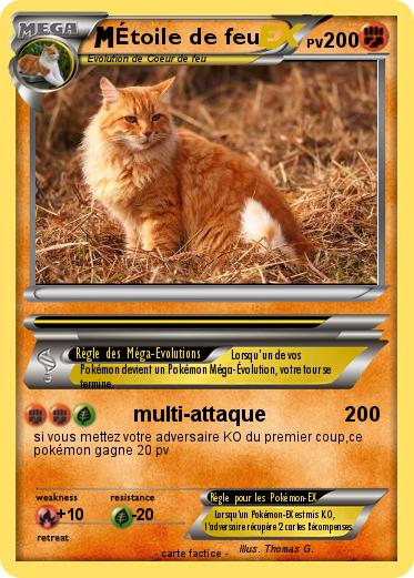 Pokemon Étoile de feu