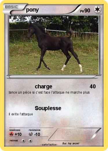 Pokemon pony