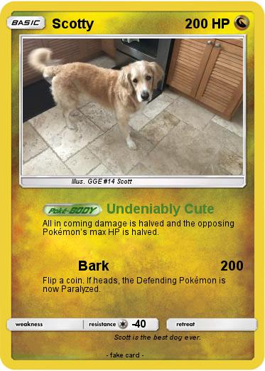 Pokemon Scotty