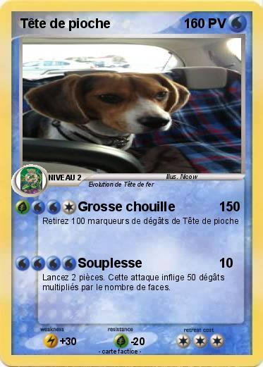Pokemon Tête de pioche