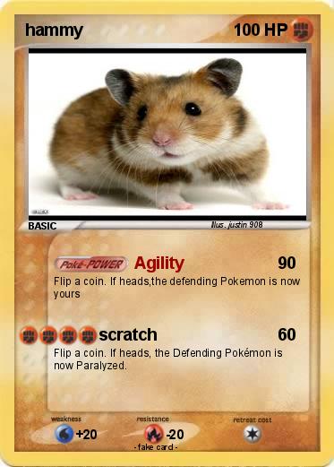 Pokemon hammy