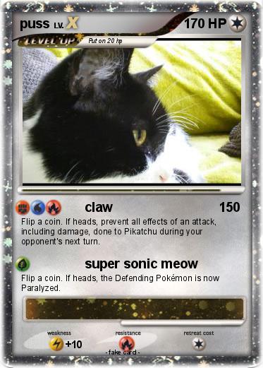 Pokemon puss