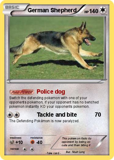 Pokemon German Shepherd