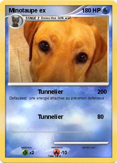 Pokemon Minotaupe ex