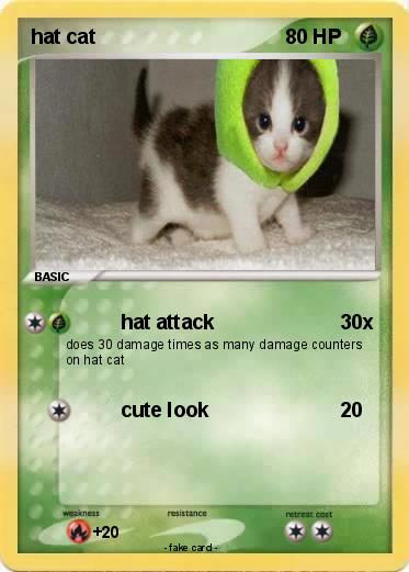 Pokemon hat cat