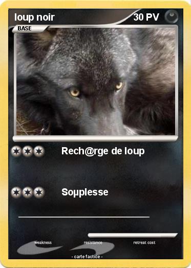 Pokemon loup noir