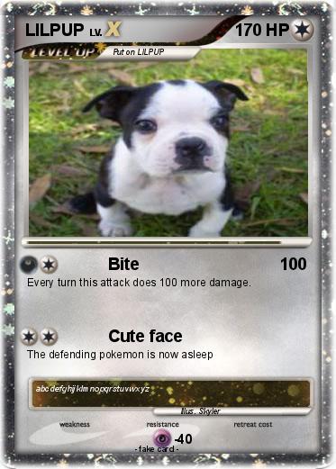 Pokemon LILPUP