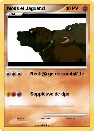 Pokemon Moss et Jaguar.d