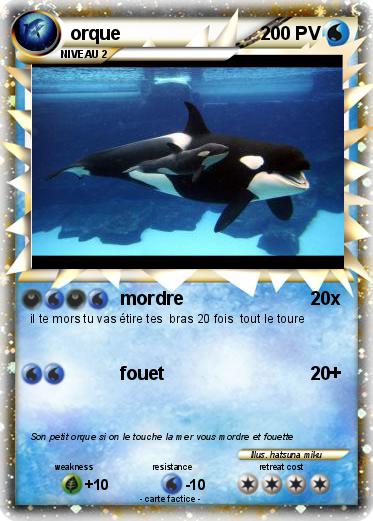 Pokemon orque