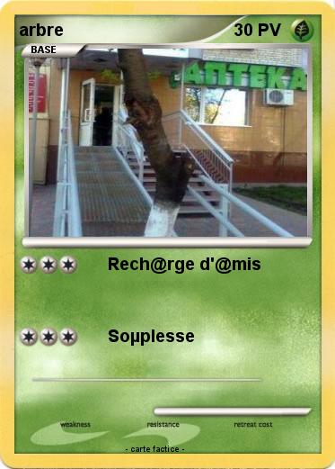 Pokemon arbre