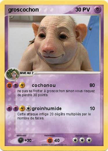 Pokemon groscochon