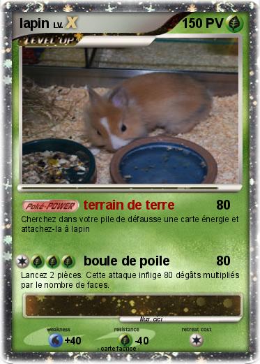 Pokemon lapin