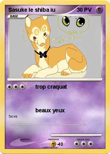 Pokemon Sasuke le shiba iu