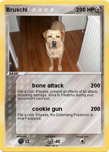 Pokemon Bruschi