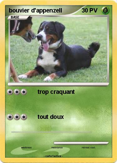 Pokemon bouvier d'appenzell