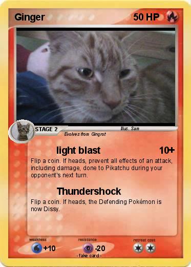 Pokemon Ginger