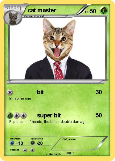 Pokemon cat master