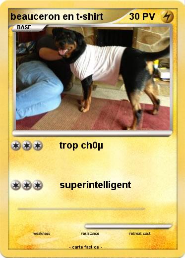 Pokemon beauceron en t-shirt
