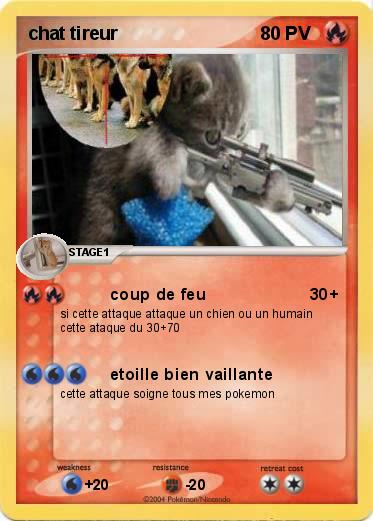 Pokemon chat tireur