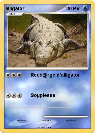 Pokemon alligator