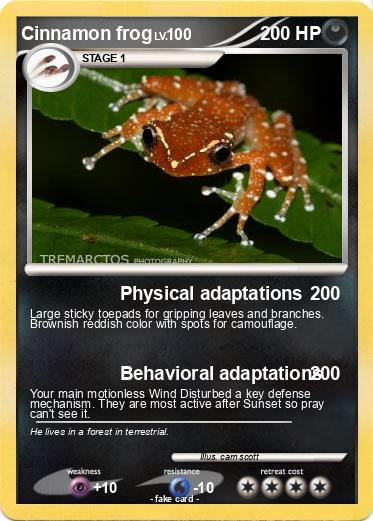 Pokemon Cinnamon frog
