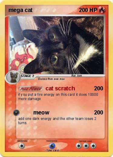 Pokemon mega cat