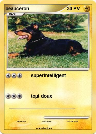 Pokemon beauceron
