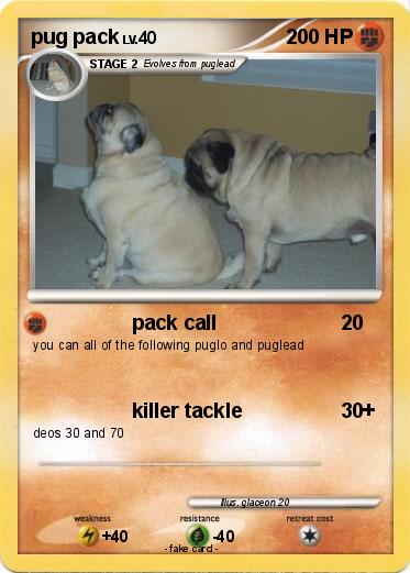 Pokemon pug pack