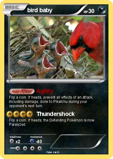 Pokemon bird baby
