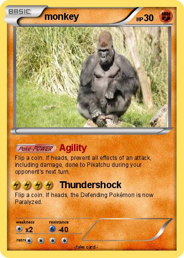 Pokemon monkey