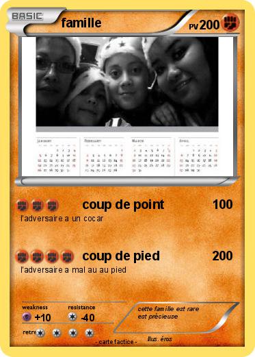 Pokemon famille