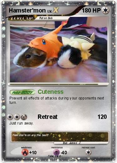 Pokemon Hamster'mon