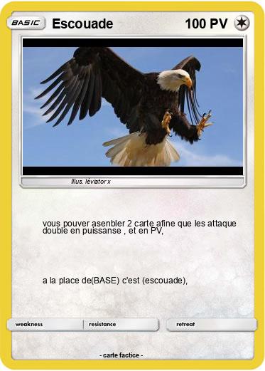 Pokemon Escouade