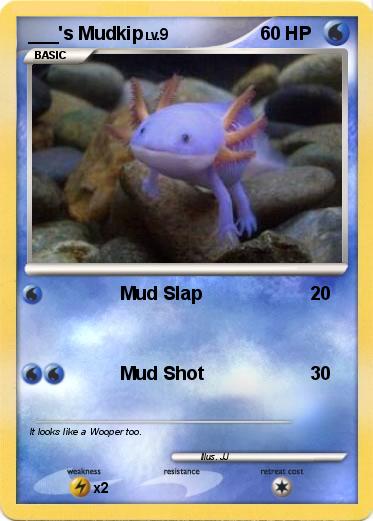 Pokemon ___'s Mudkip