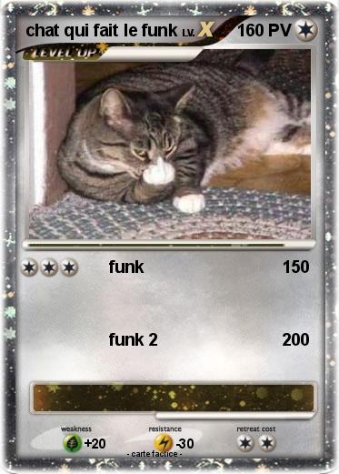 Pokemon chat qui fait le funk