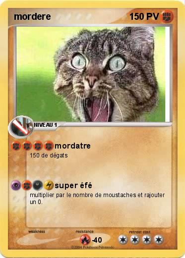 Pokemon mordere