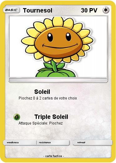 Pokemon Tournesol