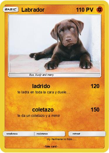 Pokemon Labrador