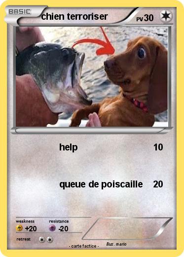 Pokemon chien terroriser