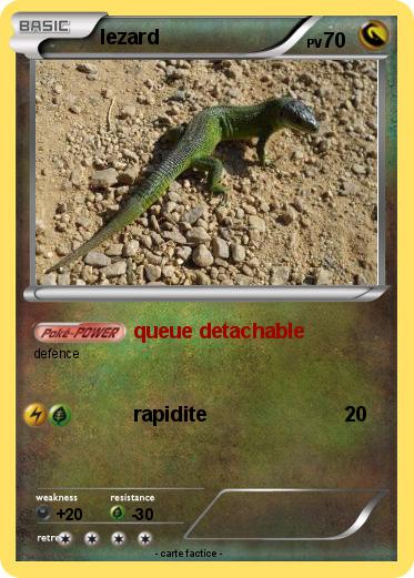 Pokemon lezard