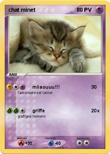 Pokemon chat minet