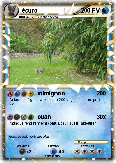 Pokemon écuro
