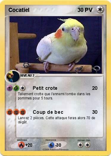 Pokemon Cocatiel