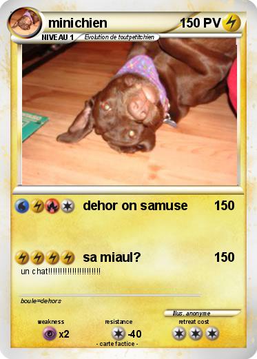 Pokemon minichien