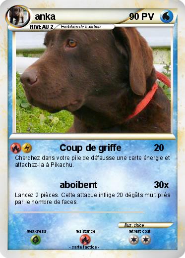 Pokemon anka